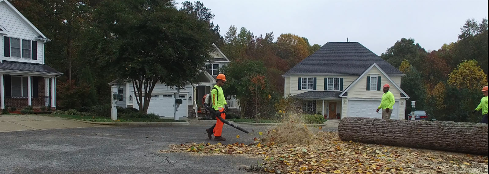 charlottetreeservicepicture6 Arbormax Tree Service Charlotte