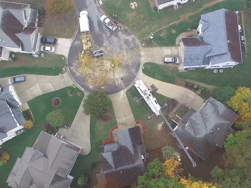Crane Assisted Tree Removal Arbormax Tree Service Charlotte