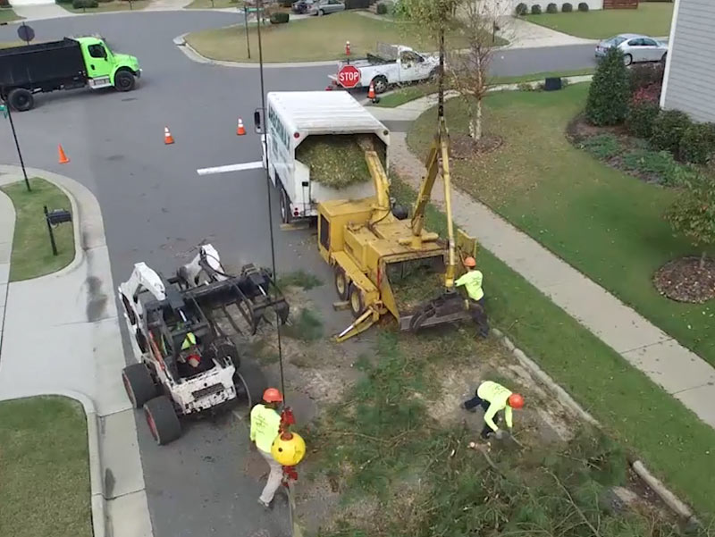 Crane Assisted Tree Removal Arbormax Tree Service Charlotte