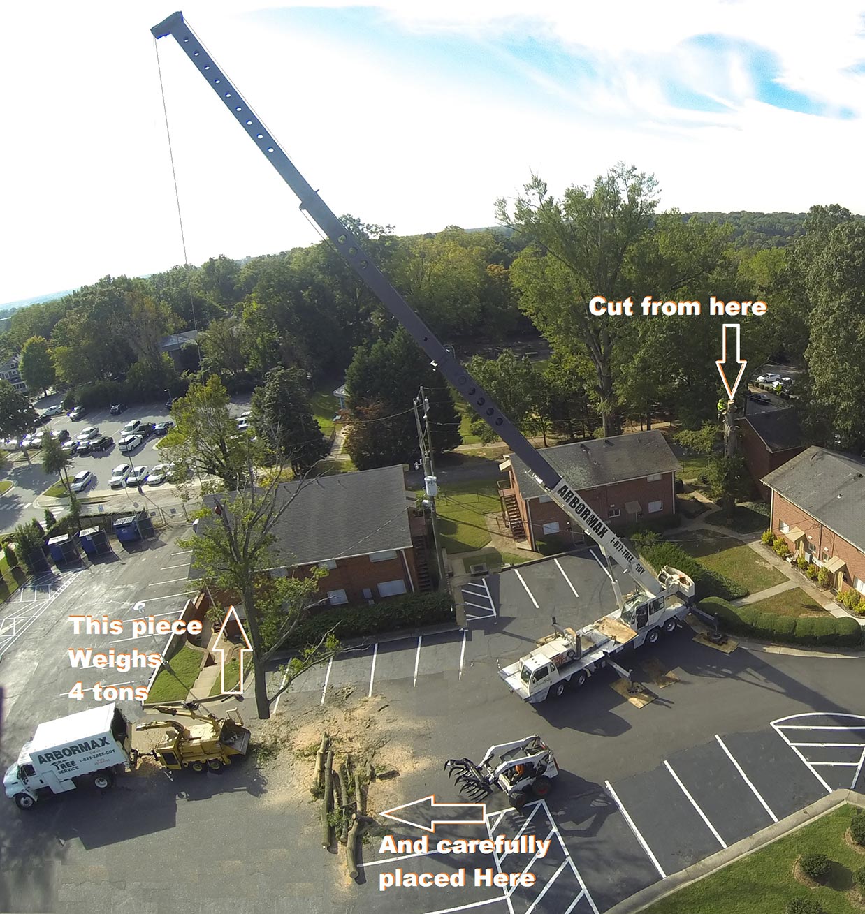 Crane Assisted Tree Removal Arbormax Tree Service Charlotte
